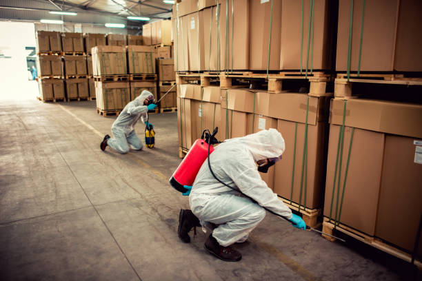 Professional Pest Control in Fair Grove, MO