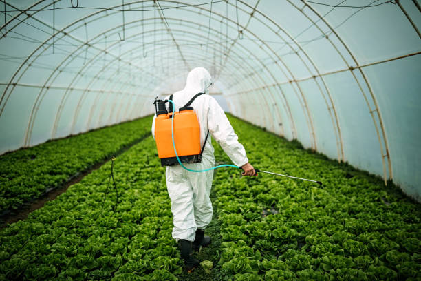 Best Pest Removal Services  in Fair Grove, MO