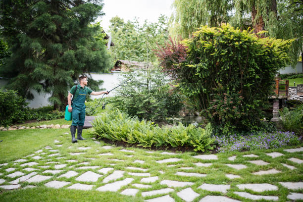 Best Mosquito Control Services  in Fair Grove, MO