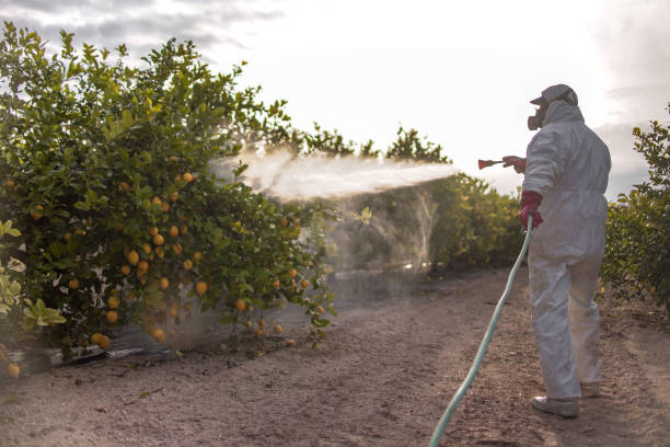 Best Best Pest Control Companies  in Fair Grove, MO