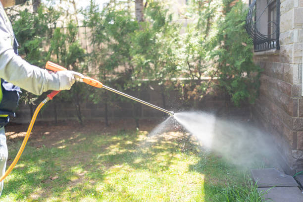 Wasp Removal Services in Fair Grove, MO