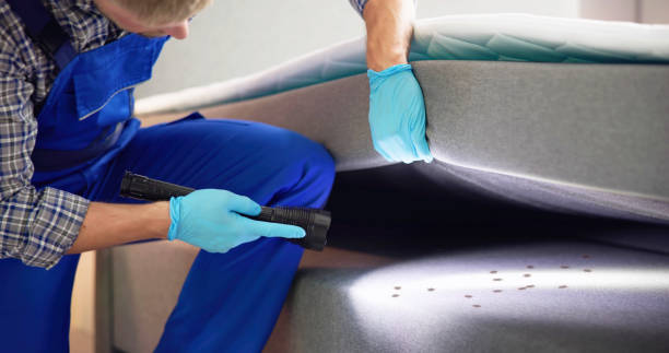 Best Residential Pest Control  in Fair Grove, MO