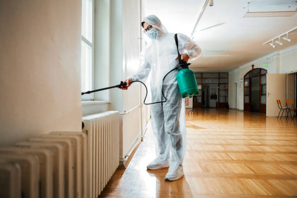 Best Local Pest Control Services  in Fair Grove, MO